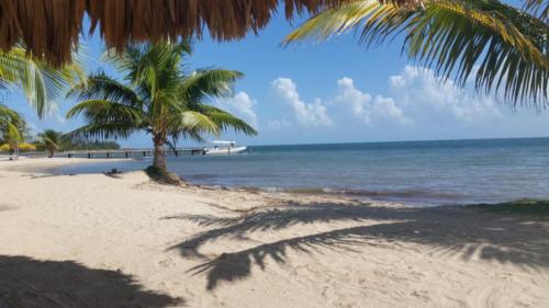 Belize Ocean Club 15